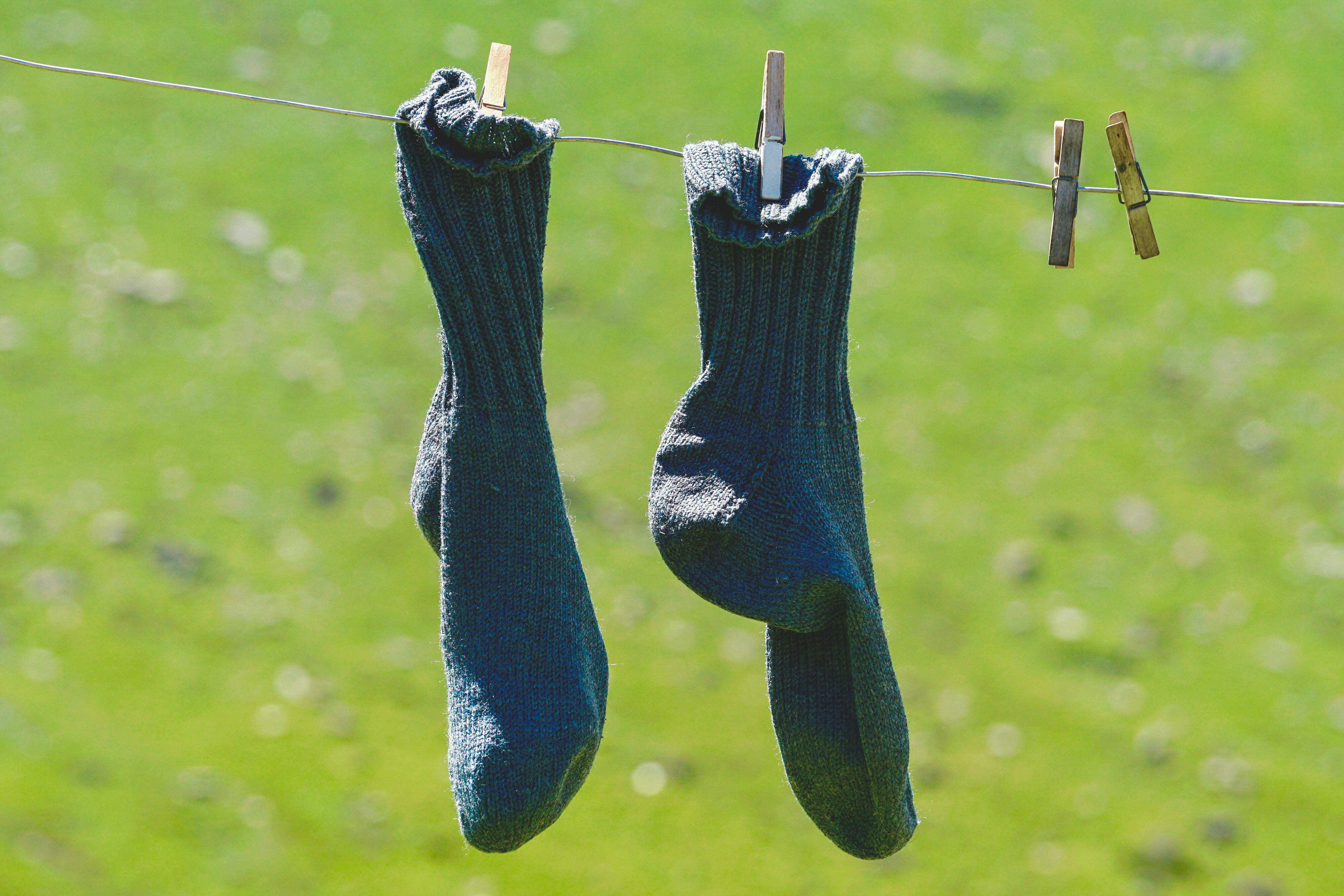 Punaises de lit en location saisonnière : que faire du linge ?